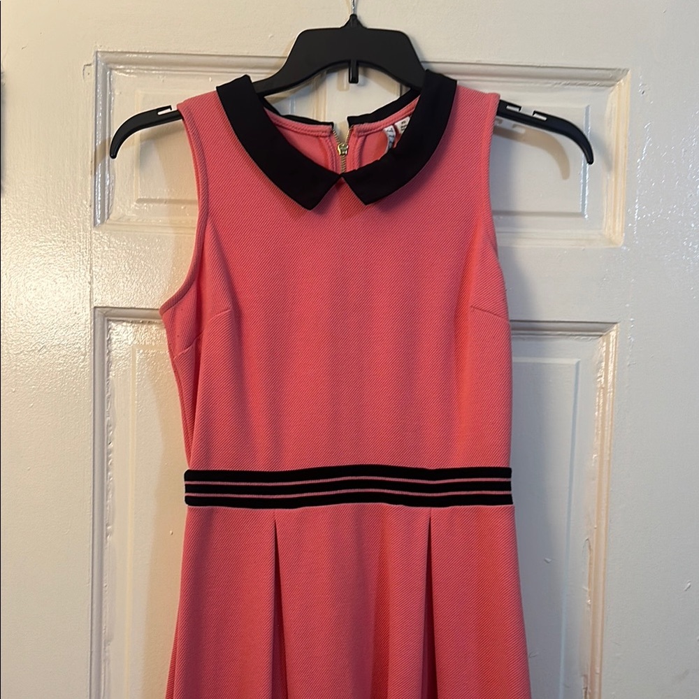 Elle Pink Fit and Flare Mini Dress with Peter Pan Collar